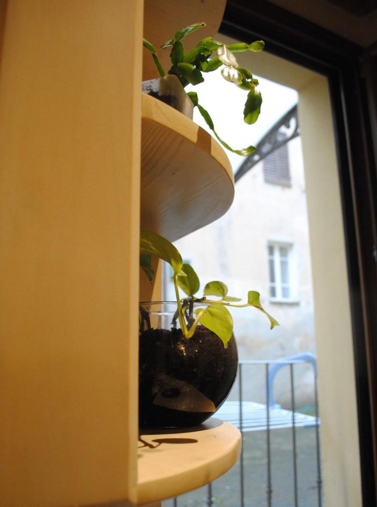 Sun Flowers House Pitigliano Exterior foto